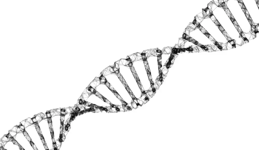 The Cellular Delivery Service: Why Exosome Therapy is the Future of Regenerative Medicine
